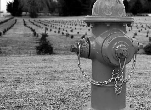 数字平台稳定的网站攻击软件